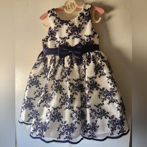 Gorgeous American Princess Dress